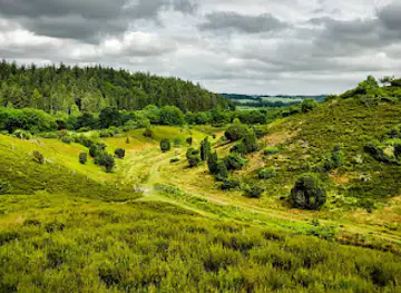 Rold Skov