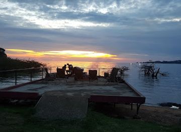 uganda/ssese-islands/landmark/chimpanzee-island