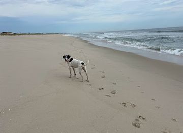 new-jersey/jersey-shore/landmark/nj-governor-s-summer-mansion