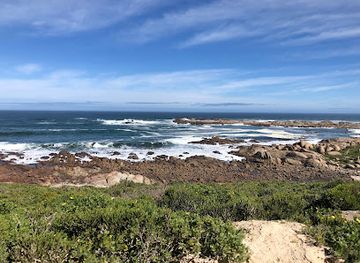 south-africa/west-coast-national-park/landmark/cape-columbine-nature-reserve