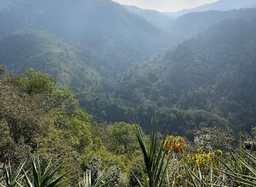 laos/muang-sing/landmark/forest-retreat-laos