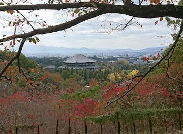 japan/nara-countryside/landmark/wakakusayama-hill