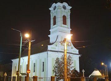 romania/arad/landmark/palatul-sarbesc