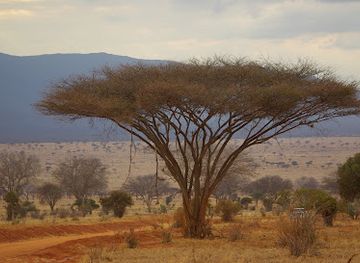kenya/kilimanjaro-region/landmark/tsavo-river