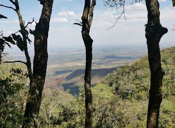 brazil/chapada-dos-guimaraes/landmark/trilha-do-matao