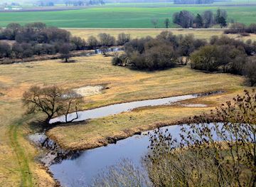 lithuania/dzukija-national-park/landmark/krekenava-regional-park-observation-tower