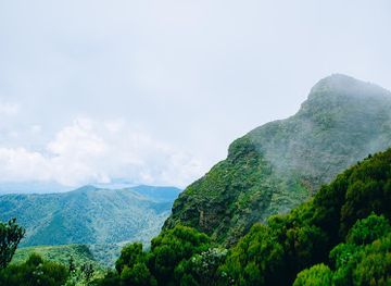 kenya/nyandarua-range/landmark/elephant-hill-hiking-trail-aberdare-njabini-kenya