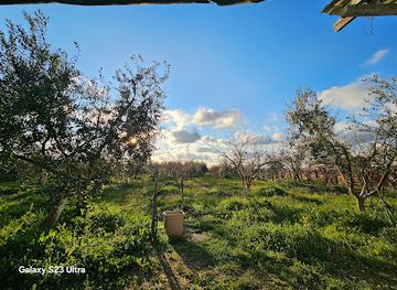 albania/patos/landmark/patos-city