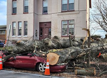 maryland/hagerstown/landmark/historic-hagerstown-antietam-battle-whitetail