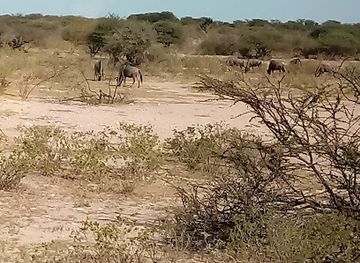 botswana/makgadikgadi-pans/landmark/orapa-game-park