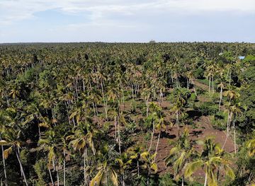 tanzania/masai-steppe/landmark/village-green-spice-farm-zanzibar