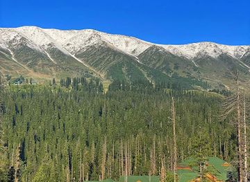 india/gulmarg/landmark/sajid-s-kashmir