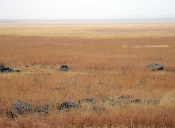 ethiopia/afar-region/landmark/yangudi-rassa-national-park