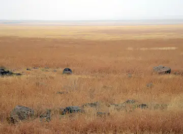 Yangudi Rassa National Park