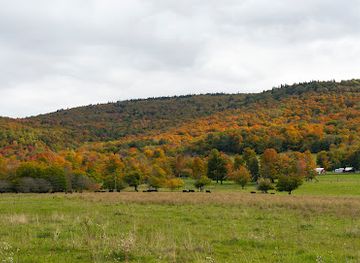 west-virginia/canaan-valley/landmark/canaan-valley-national-wildlife-refuge