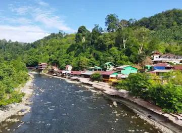 Bukit Lawang Discovery