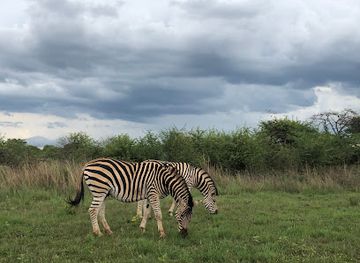 south-africa/bushveld/landmark/sondela-nature-reserve-spa-bela-bela