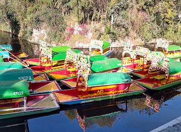 mexico/mexico-city/xochimilco/landmark/trajineras-xochimilco