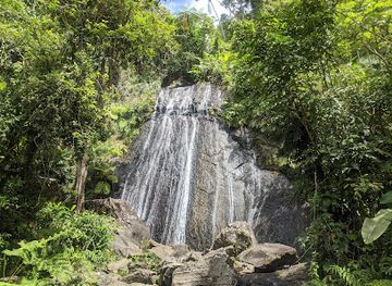 puerto-rico/yunque-national-forest/landmark/el-yunque