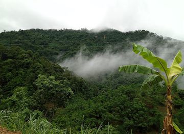 vietnam/northwest/landmark/pu-hu-nature-reserve