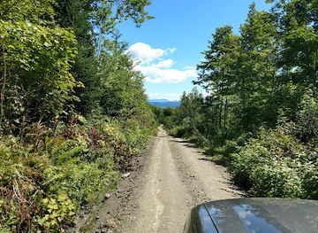 vermont/northeast-kingdom/landmark/victory-state-forest