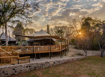 south-africa/waterberg/landmark/thirsty-warthog