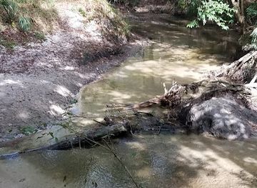 florida/gainesville-area/landmark/loblolly-woods-nature-park