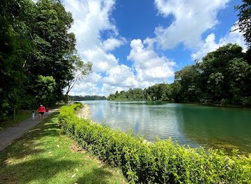 singapore/macritchie-reservoir/landmark/macritchie-petai-trail