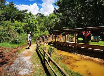 north-carolina/nantahala-national-forest/landmark/rose-creek-mine