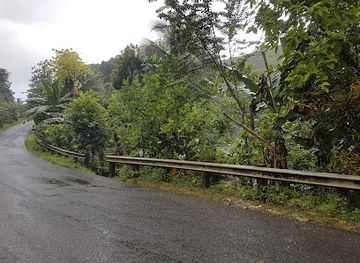 micronesia/pohnpei/landmark/eel-pond