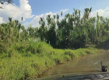 colombia/quindio-department/landmark/valle-de-maravelez