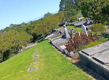 new-zealand/taranaki/landmark/te-henui-cemetery
