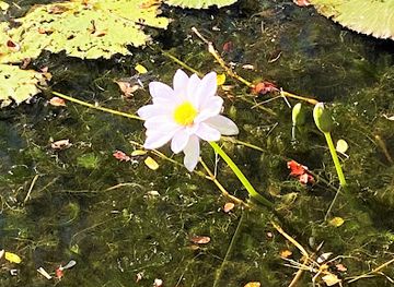 australia/bungle-bungle-range/landmark/kimberley-bungles-walk