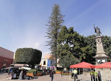 mexico/queretaro/landmark/arbol-de-la-amistad