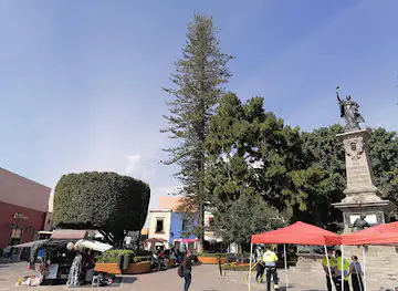 Árbol de la Amistad