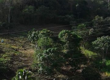 trinidad-and-tobago/tunapuna/landmark/lopinot-historical-complex