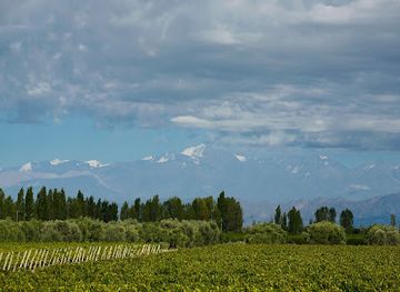 argentina/mendoza-wine-region/landmark/uncorking-argentina-tours
