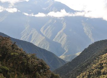 bolivia/yungas/landmark/cotapata-national-park-and-integrated-management-natural-area