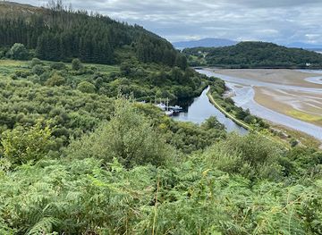united-kingdom/argyllshire/attraction/knapdale-scottish-beaver-trail-2