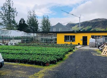 iceland/hveragerdi-area/landmark/hveragerdi