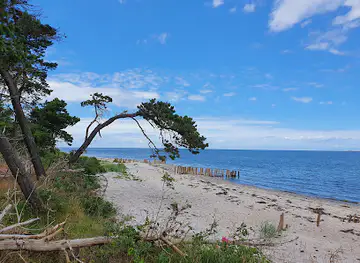 Enebærodde