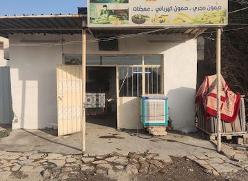 iraq/qadisiyyah/landmark/iraqi-village