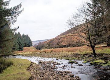 united-kingdom/peak-district/landmark/snake-woodland-forestry-england