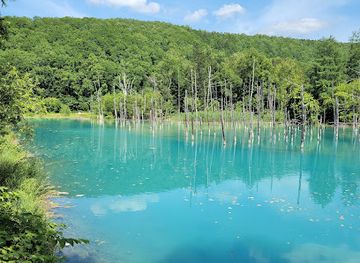 japan/hokkaido/landmark/shirogane-blue-pond-aoiike