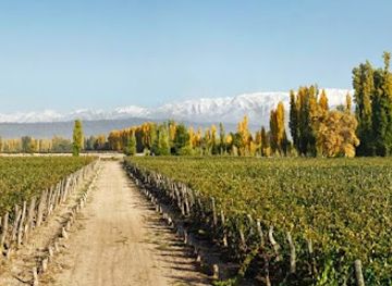 argentina/cuyo/landmark/martino-wines