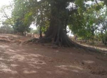 mali/bamako/hamdallaye/landmark/hamdallaye