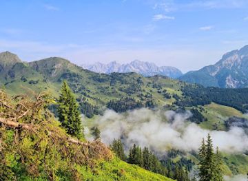 austria/saalbach-hinterglemm/landmark/montelino-s-erlebnisweg