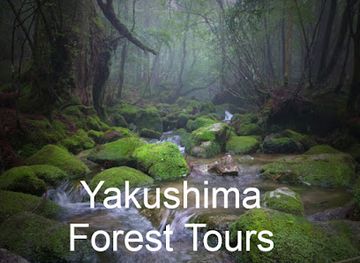 japan/yakushima/landmark/yakushima-english-services-yes