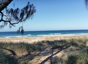 australia/sunshine-coast/landmark/maroochy-river-conservation-park