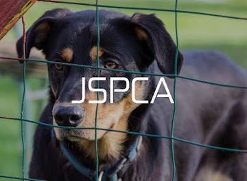 jersey/saint-saviour/landmark/jspca-animal-shelter